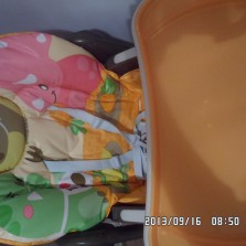 Cтульчик для кормления Chicco Polly 2 В 1