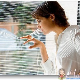 горизонтальные жалюзи