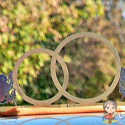 Кольца на свадебную машину