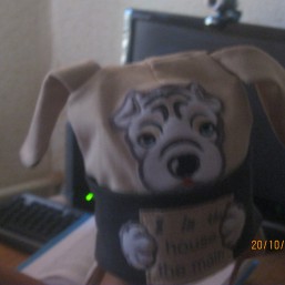 шапки для улицы