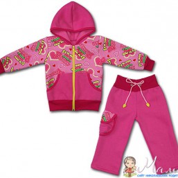 Утепленный костюмчик на девочку.