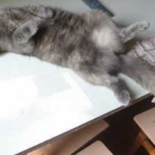 Срочно ищем парня!