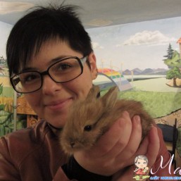 Декоративный кролик