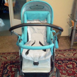 Пущин зима-лето