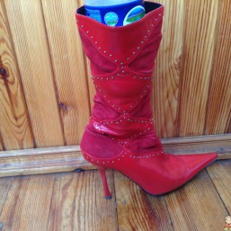 Сапоги деми кожа36