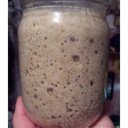 Натуральная бездрожжевая закваска 