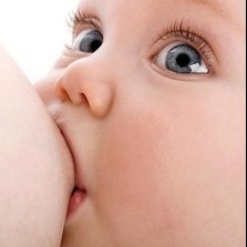 грудное молоко