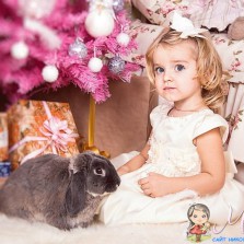 Новогодний студийный фотопроект