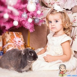 Новогодний студийный фотопроект