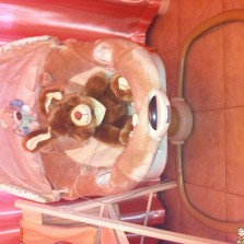 Укачивающий центр Graco Sweetpeace