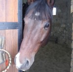 Загородный комплекс "ЗОЛОТАЯ ПОДКОВА"