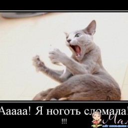 Маникюр и педикюр