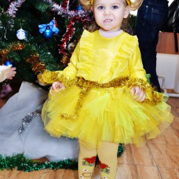 Новогодние костюмы