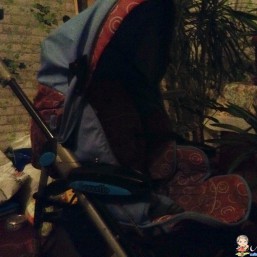 Коляска EVERFLO