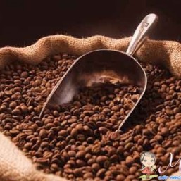Свежеобжаренный кофе от 100 грн за килограмм