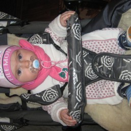 Sojan Luiza от рождения до 3 лет