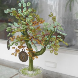 Денежное дерево