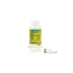 Кордицепс ( китайский гриб)