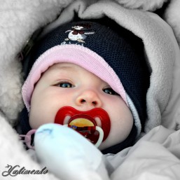 Фото и видео на все случаи жизни