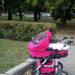  Универсальная коляска 2 в 1 Riko Alpina (Рико Альпина)