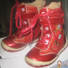 сапожки демесизонные