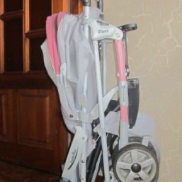 Inglesina Zippy детская коляска