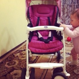 Прогулочная коляска