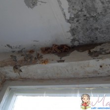 Нужна помощь