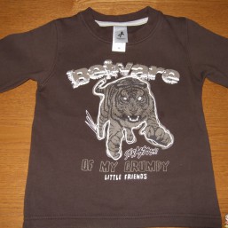 Реглан утепленный