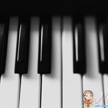 Индивидуальные уроки музыки 