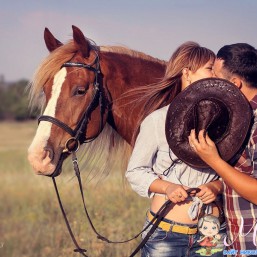 Фотосессии с лошадьми!))