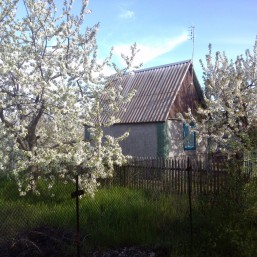 Продаю дачу