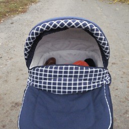 коляска марита роан