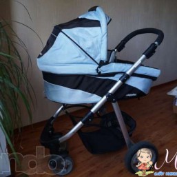 Baby Point Targus 2 в 1