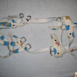 Стремена Павлика