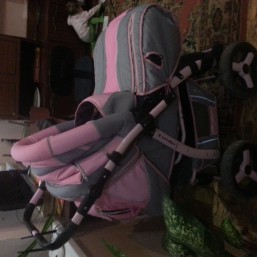 Коляска зима-лето