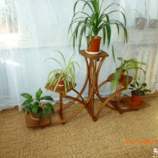 Подставка (полка) дубовая под цветы