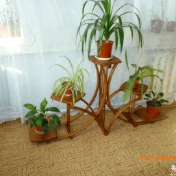 Подставка (полка) дубовая под цветы