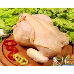 Курица домашняя