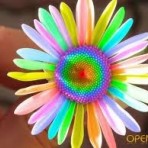  ***ВИТАЛИНКА***