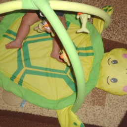 Развивающий коврик