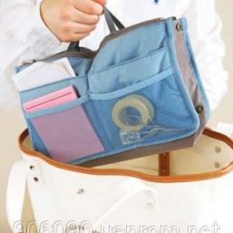 Органайзер в сумочку