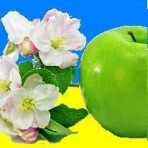 Ирина Тополь