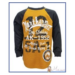 Регланы для мальчика Toddler из Англии