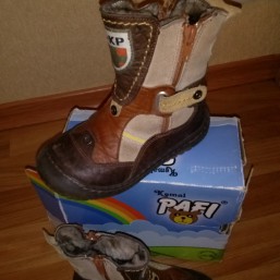 Зимние сапожки Pafi