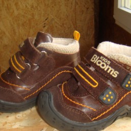   Демисизоные ботинки с утеплителем KIDS Blooms 22р(14см  стелька) KIDS Blooms 22р(14см  стелька)