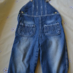 Полукомбинезон  на флисе