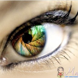 Фотокурсы в Николаеве: 