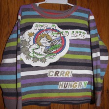 Реглан и свитер