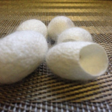 Кокон тутового шелкопряда! Хит!